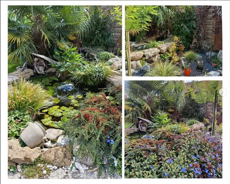 Capture Decran 2026 01 16 225923