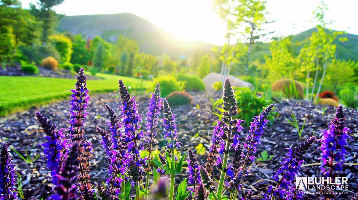 fe070b 51cc506ab8824c318c402d41681fd4df