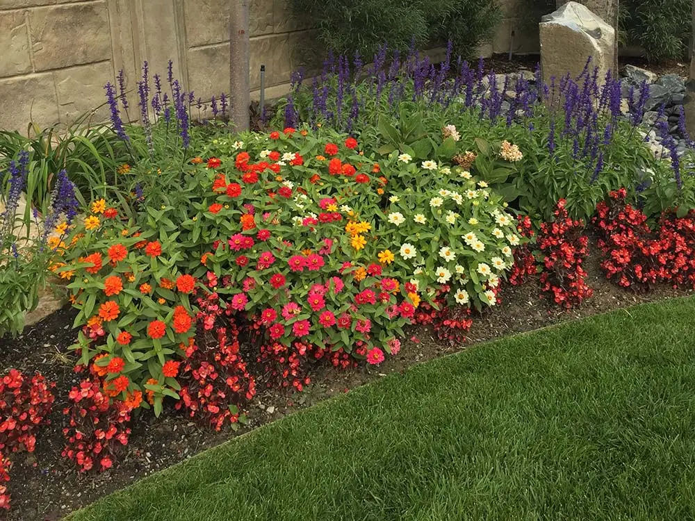 gallery annuals landscaping