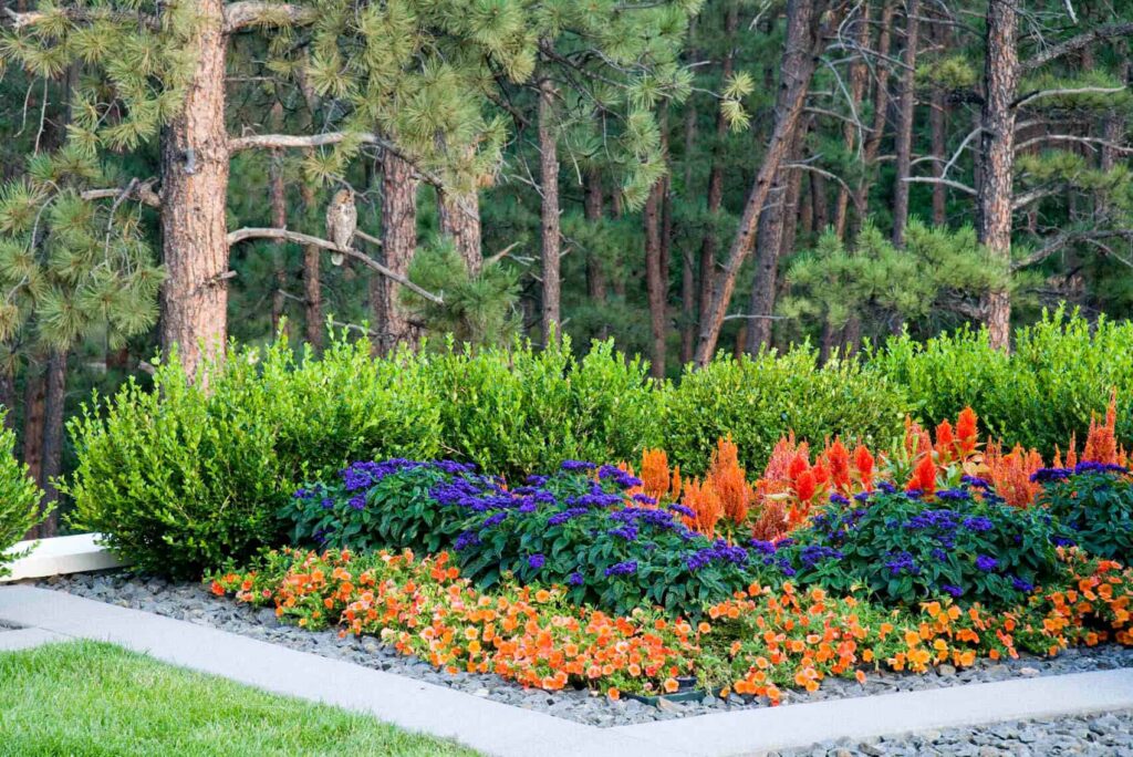 vibrant perennial plantings modern landscape denver